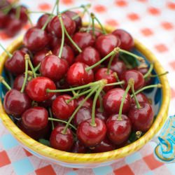 Fresh Picked Cherries