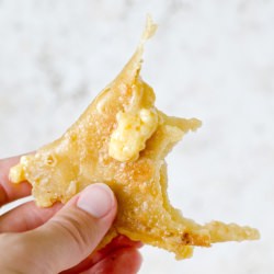 Vegan Quesadillas