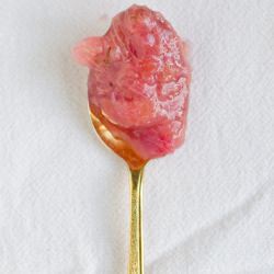 Easy Rhubarb Sauce