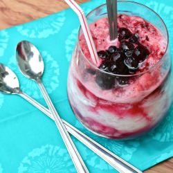 Frozen Blueberry Lemonade