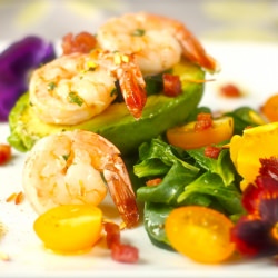 Shrimp and Avocado Salad