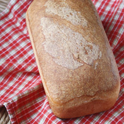 Honey Whole-Wheat Bread
