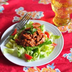 chicken cherry mole