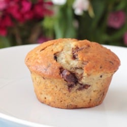 Chocolate Chip Banana Muffins