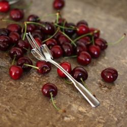 Homemade Cherry Pitter
