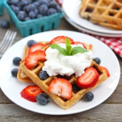 Blueberry Yogurt Waffles