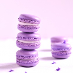 Lavender macarons