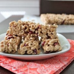 Cereal Bars with Cranberries