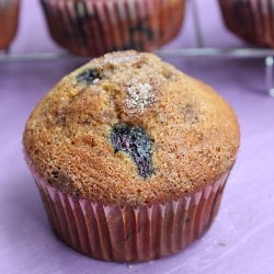 Whole Wheat Blueberry Muffins