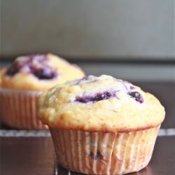 Best Blueberry Muffins
