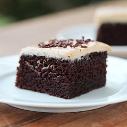 Chocolate Cake w Biscoff Frosting