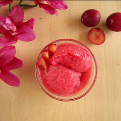 Rosemary Gin Sorbet