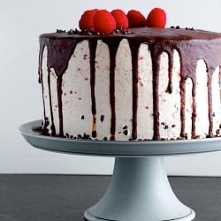 Raspberry Ganache Cake