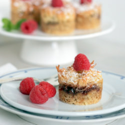 Coconut Raspberry Dainties