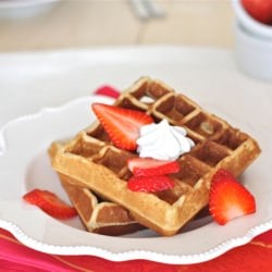 Simple Fluffy Waffles