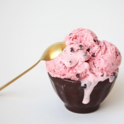 Strawberry Chocolate Chip Ice Cream