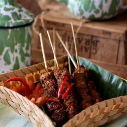 Sour Beef Satay