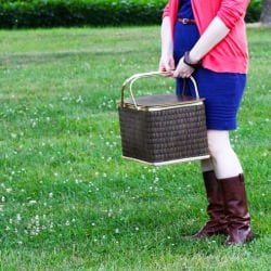 Cheap Picnic Food Ideas
