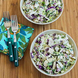 Spicy Cabbage Slaw with Chicken