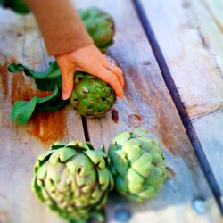 Roman Style Artichokes