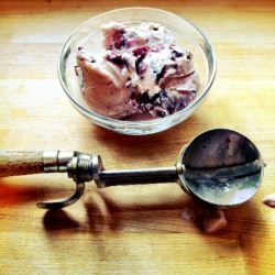Coconut Milk Ice Cream