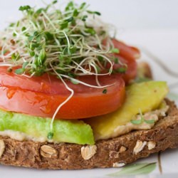 Open-Faced Hummus and Veg. Sandwich