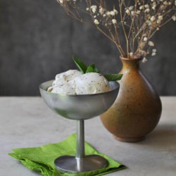 Mint Gelato with Chocolate Chunks