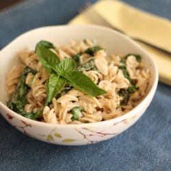 Creamy Pasta with Basil and Spinach