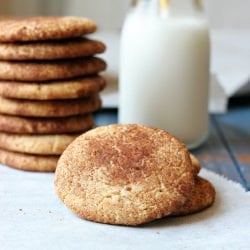 Grain/Dairy Free Snickerdoodles