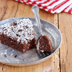 Raw Coconut Cacao Brownies