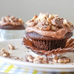 Chocolate Mousse Cupcakes