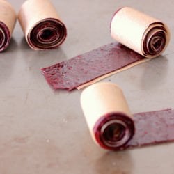 Homemade Fruit by the Foot