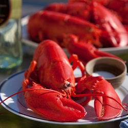 Perfect Boiled Lobsters