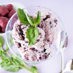 Frozen Blueberry Yogurt with Honey