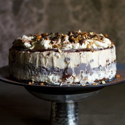 Tin Roof Ice Cream Cake