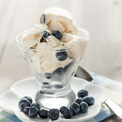 Mango Blueberry Greek Frozen Yogurt
