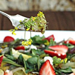 Flowering Broccoli Salad