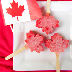 Watermelon Daiquiri Pops