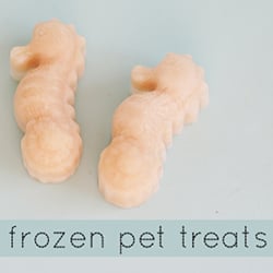 diy frozen pet treats