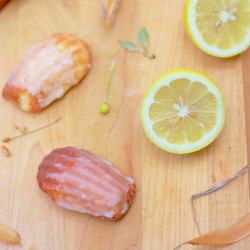 lemon ginger madelines