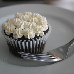 Chocolate Cupcakes