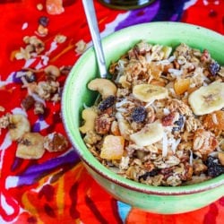 Toasted Coconut Granola