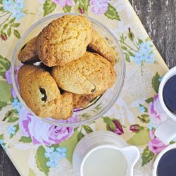 Zaleti – Yellow Venetian Biscotti