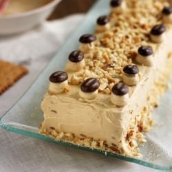 No-Bake Mocha Cake