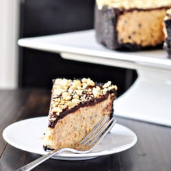 Chocolate Peanut Butter Torte