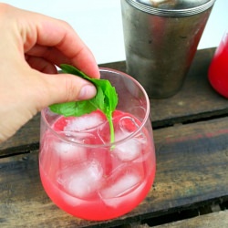 Rhubarb Ginger Cocktail