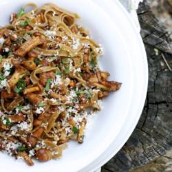 Truffle Taglietelle with Chanterell
