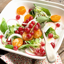 Veggie Dream Salad & Dijon Dressing