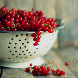 Cake with Currants and Meringue