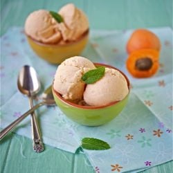 Apricot Frozen Yogurt